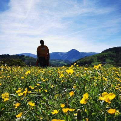 Ander's profile picture