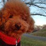 カイロ profil fotoğrafı