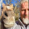 Profilbild von BILLY PEEDEN