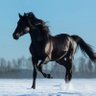 Фото профиля Dr. Kraliçe
