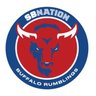 Buffalo Rumblings's profile picture