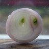 Profilbild von Anton Radenquad
