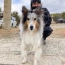だいちゃんパパ profil fotoğrafı