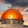 Фото профиля Mohammed