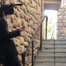 ほに太 profil fotoğrafı