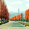 Фото профиля Hiroyuki.S