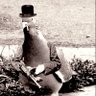 me's profile picture