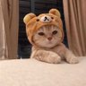 Profilbild von บาบิว