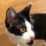 BAKAZUKI15's profile picture