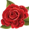 Profilbild von khan gul