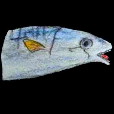 é¯é 's profile picture