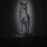 Giuseppe C.'s profile picture