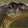 Profilbild von Adam