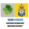 Se llama Gran Canaria 💛💙 的头像
