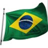 🇧🇷Um cidadão 🇧🇷's profile picture