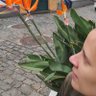 Ede's profile picture