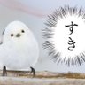 ぱち's profile picture
