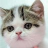 ป้อมไฮเปอร์'s profile picture