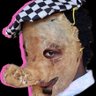 Scat Chef profil fotoğrafı