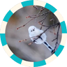 ゼロP's profile picture