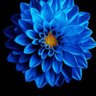 Hhhh's profile picture