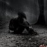 Ahmedhejazy's profile picture