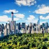 NYC 2050 profil fotoğrafı