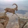 Фото профиля محمدعبده