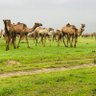 Фото профиля أحمد