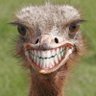 R. Lobao's profile picture