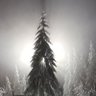 Фото профиля simix
