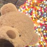 ちょこ🧸 的头像