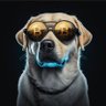 Profilbild von crypto-Persia