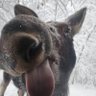 mike skupniewitz's profile picture