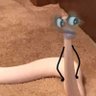 Heatherpronouncedfeather's profile picture