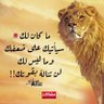 مصرى شرقاوى 的头像