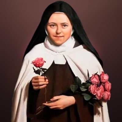 Devotos Santa Teresinha do Menino Jesus's profile picture