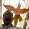 ARUN KUMAR's profile picture