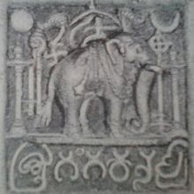 DadigaGanga's profile picture