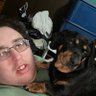 Harry Sears's profile picture