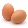 always egg 的头像