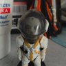 ludens fan 的头像
