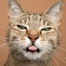 Profilbild von David Rutledge