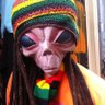 Steven West's profile picture