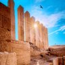 طارق العروي 的头像
