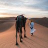 Фото профиля ابو سعود