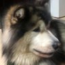 Markleeee profil fotoğrafı