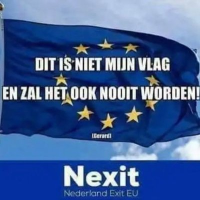 UbedaMichel's profile picture