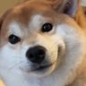 ocean heart's profile picture