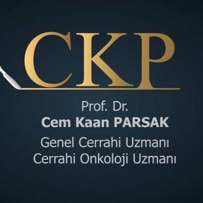 Cem Kaan Parsak's profile picture